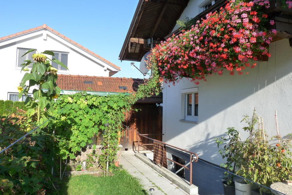 איינרינג Ferienwohnung Alpenblick מראה חיצוני תמונה